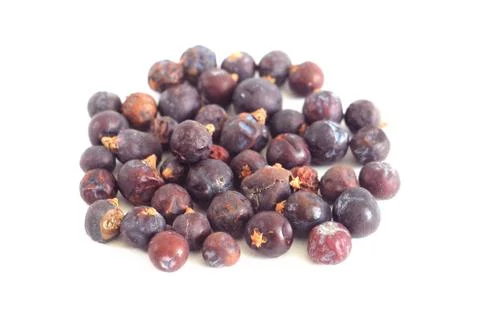Juniper berries isolated Stock Photos