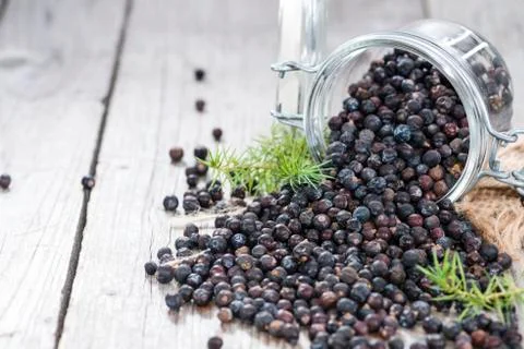 Juniper berries Stock Photos