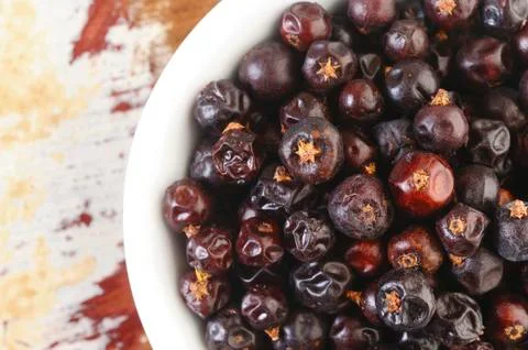Juniper berries Stock Photos