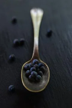 Juniper berries Stock Photos