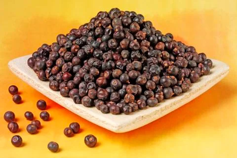 JUNIPER BERRIES Photos