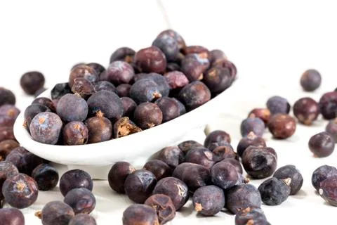 Juniper berries Stock Photos