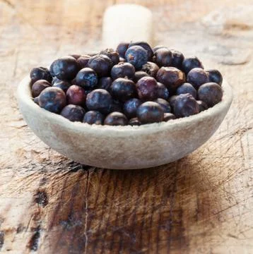 Juniper Berries Stock Photos