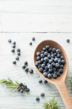 Juniper Berries Stock Photos
