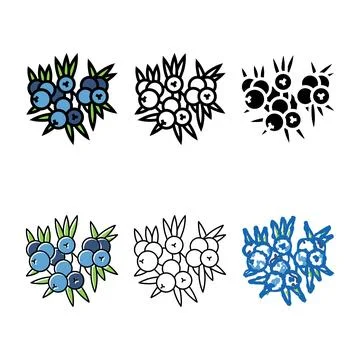 Juniper berry color variants icon vector Stock Illustration