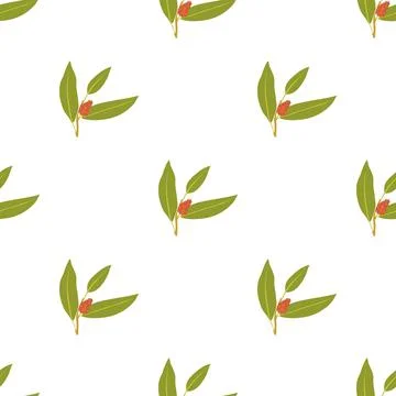 Juniper berry pattern seamless vector Stock Illustration