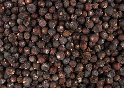Juniper berry Stock Photos