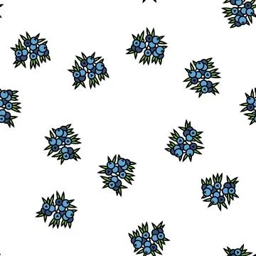 Juniper berry vector seamless pattern 스톡 일러스트