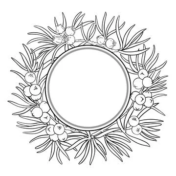 Juniper Branch Outline Round Frame. Illustrazione stock