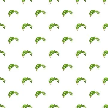 Juniper branch pattern repeating botanical foliage design Illustrazione stock