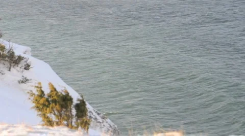 Juniper Bush On A cliff Stock Footage 953869