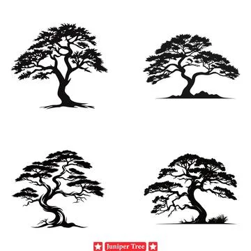 Juniper Essence  Graceful Vector Collection for Natural Inspirations Illustrazione stock