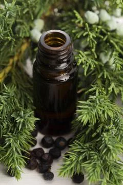 Juniper essential oil Stock Photos