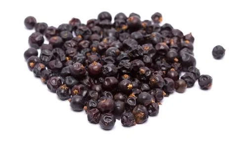 Juniper isolated on white background Foto stock