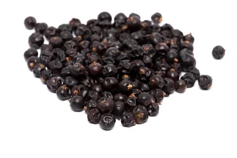 Juniper isolated on white background Stock Photos