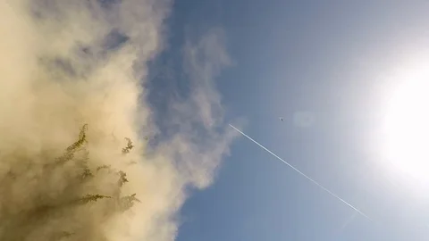 Juniper pollen spread on a sunny day and an airplane in the sky Stock Footage 92716037