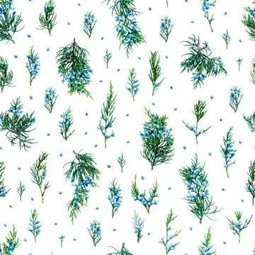 Juniper seamless pattern nature background Stockfoto's