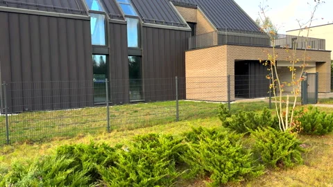 Juniper tree pine grows near house. Dwarf Mugo Pine trees in Landscape design 스톡 동영상 317538459