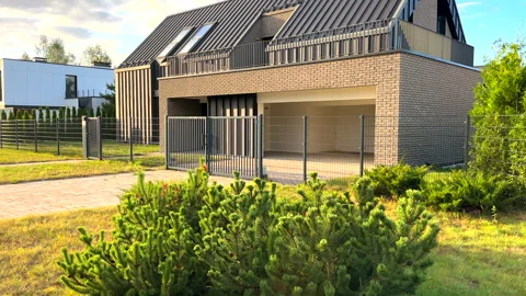 Juniper tree pine grows near house. Dwarf Mugo Pine trees in Landscape design Video stock 317538816