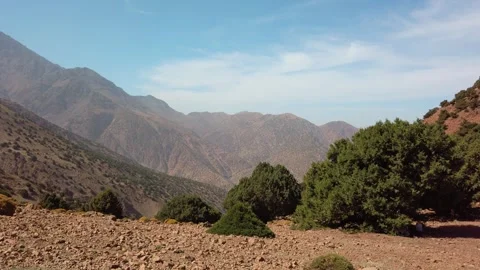 Juniper trees and rocky terrain with High Atlas Mountains near Imlil, Morocco Stock Footage 332177196