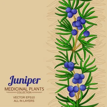 Juniper vector background Stock Illustration