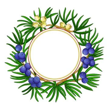 Juniper vector frame Illustrazione stock