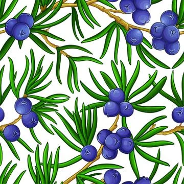 Juniper vector pattern Stock Illustration