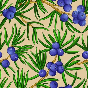 Juniper vector pattern Stock Illustration