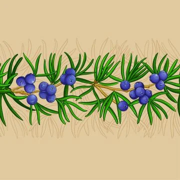 Juniper vector pattern Stock Illustration
