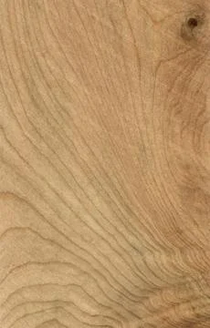 Juniper Wood tree pattern samples natural rural timber Stock Photos