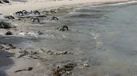 Junk on the beach Stockbeeldmateriaal 20454989