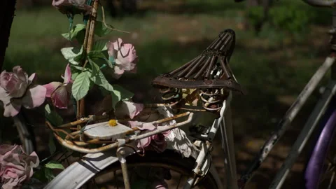 Junk Bike Saddle Stock Footage 235919904