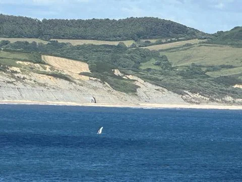 Jurassic coast Stock Photos