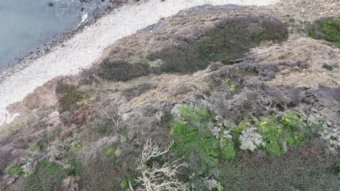 Jurassic Coastline Stock Footage 266546996
