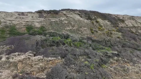 Jurassic Coastline Stock Footage 266554709