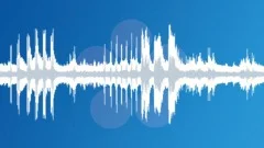 Jurassic Jungle B Sound Effect