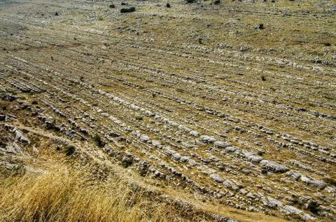 Jurassic limestone layers. Geological pattern Stock Photos