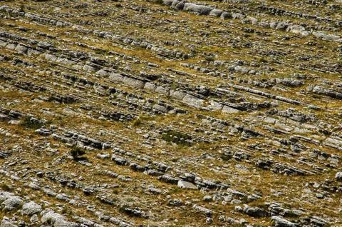 Jurassic limestone layers. Geological pattern Stock Photos