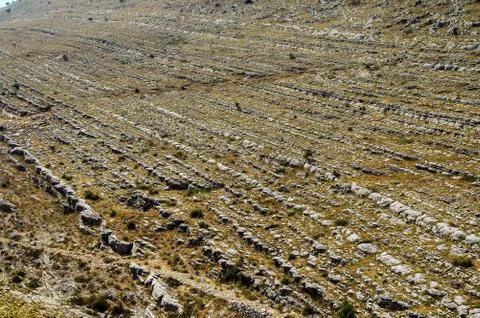 Jurassic limestone layers. Geological pattern Stock Photos