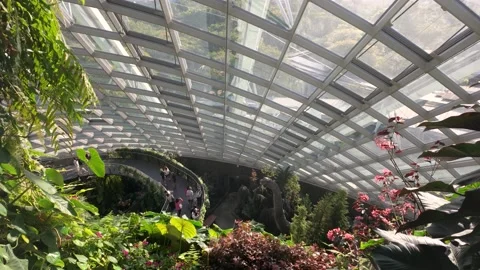 Jurassic World The Experience exhibition inside the Cloud Forest Singapore 動画素材 325606319