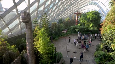 Jurassic World The Experience exhibition inside the Cloud Forest 動画素材 325653810