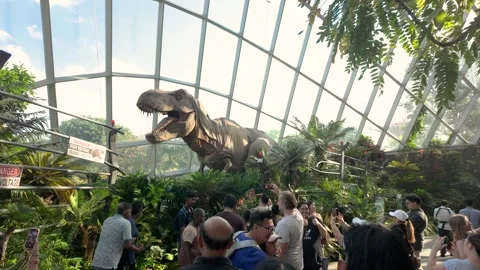 Jurassic World The Experience exhibition inside the Cloud Forest. Stock-Footage 325654750