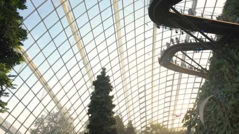Jurassic World The Experience exhibition inside the Cloud Forest 動画素材 325975117