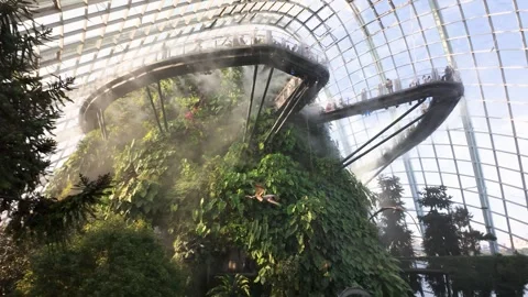 Jurassic World The Experience exhibition inside the Cloud Forest Stock-Footage 325975133