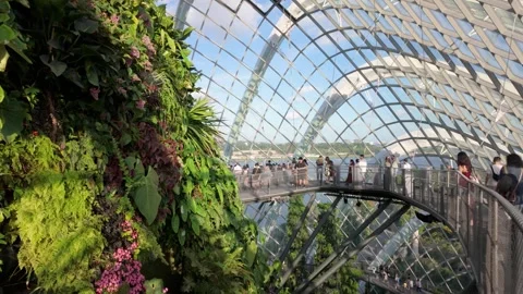 Jurassic World The Experience exhibition inside the Cloud Forest 스톡 동영상 336877870