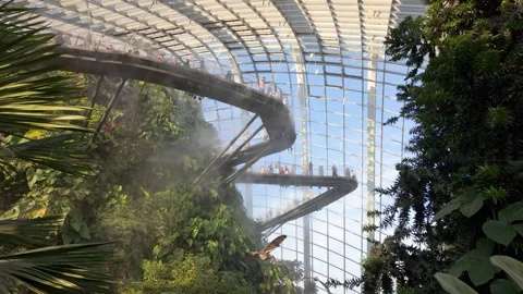 Jurassic World The Experience exhibition inside the Cloud Forest Vídeos de archivo 336877873