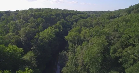 Just above the tree tops Stock Footage 90736379