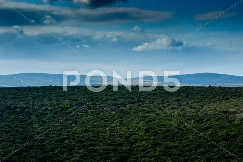 Just a beautiful Addo Landscape Stock Photos