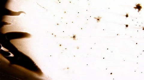 Just Brown 库存影片 105199