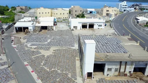 Just capture using the sun to go ashore and dried seafood in Taiwan, Penghu Stock-Footage 93426904